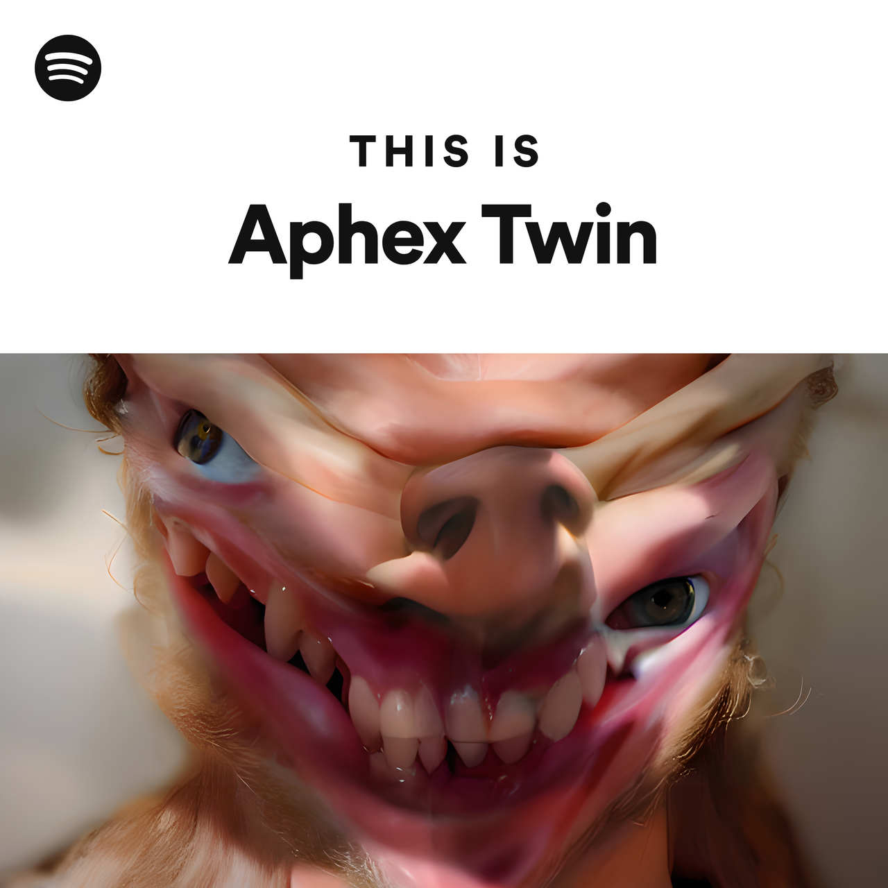 This Is Aphex Twin - playlist by Spotify | Spotify