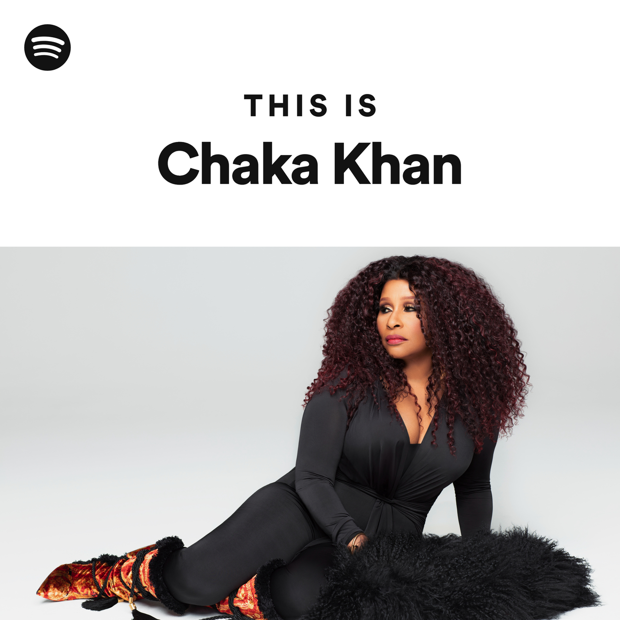 Chaka Khan is in a song about Tekken 2, for some reason