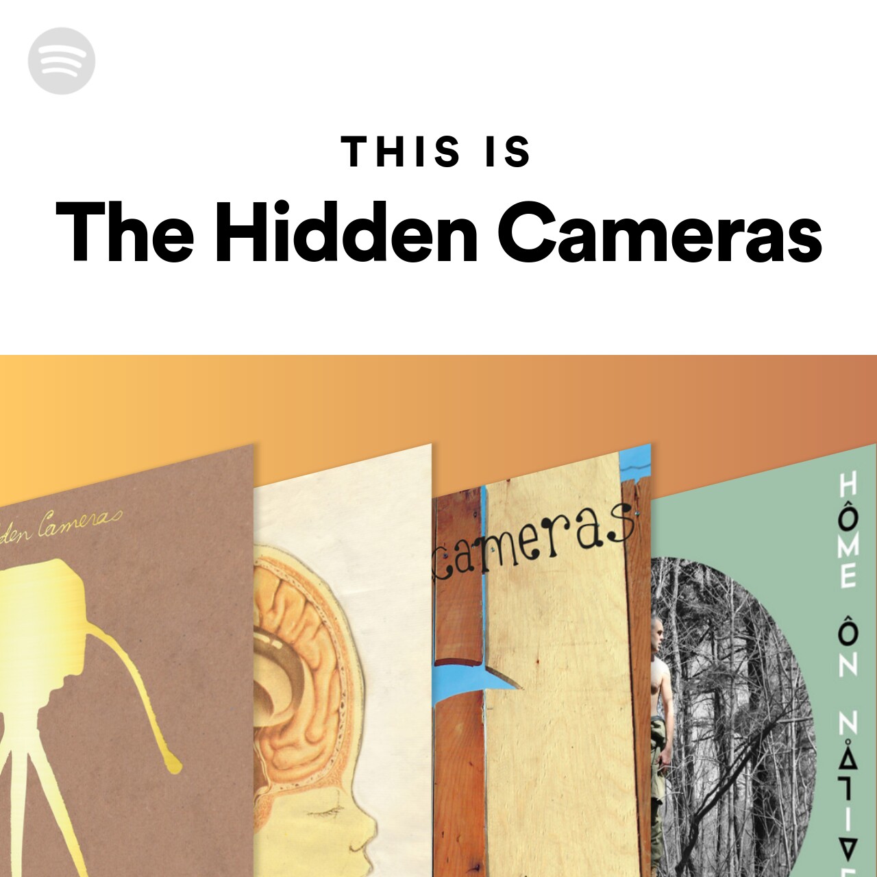 This Is The Hidden Cameras