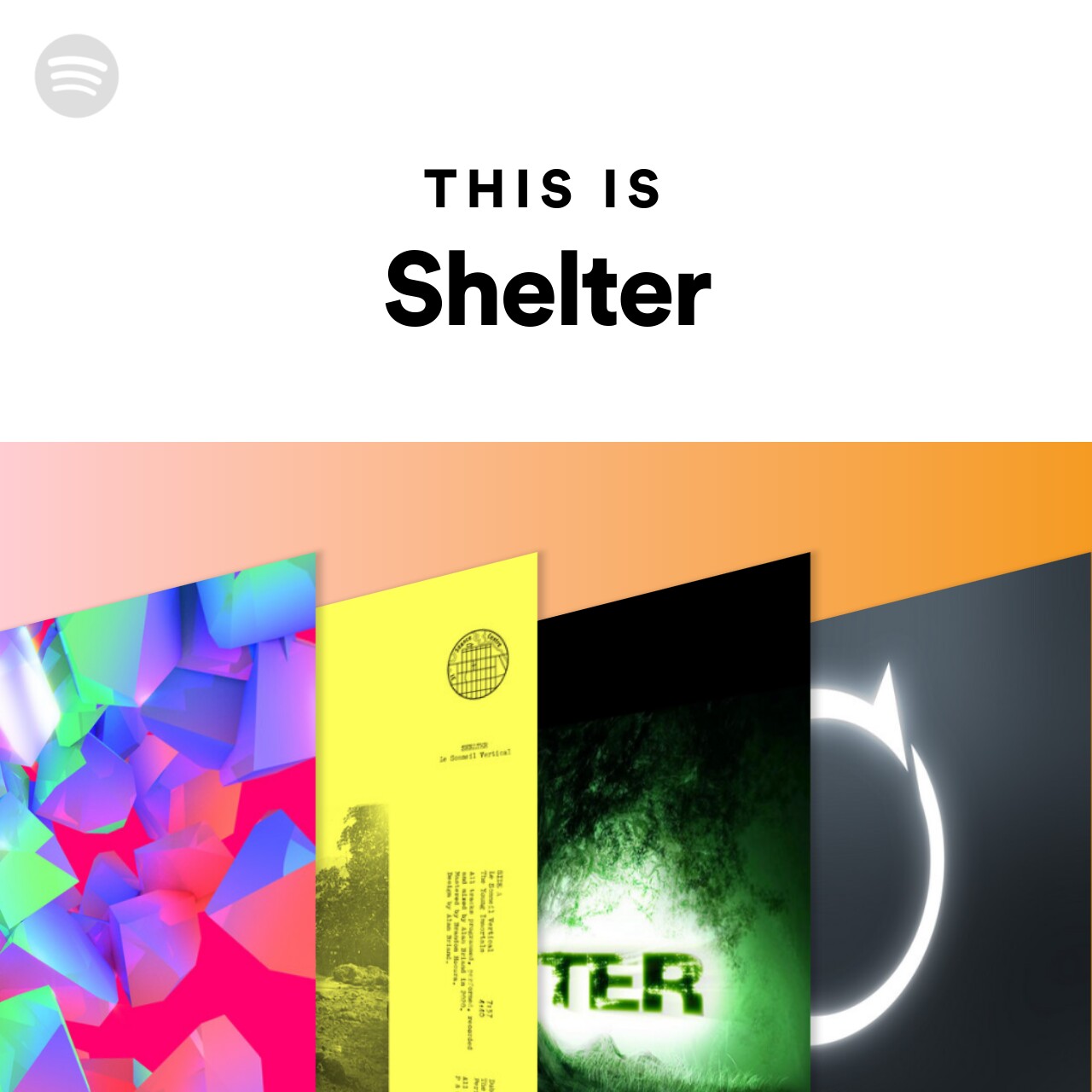 This Is Shelter