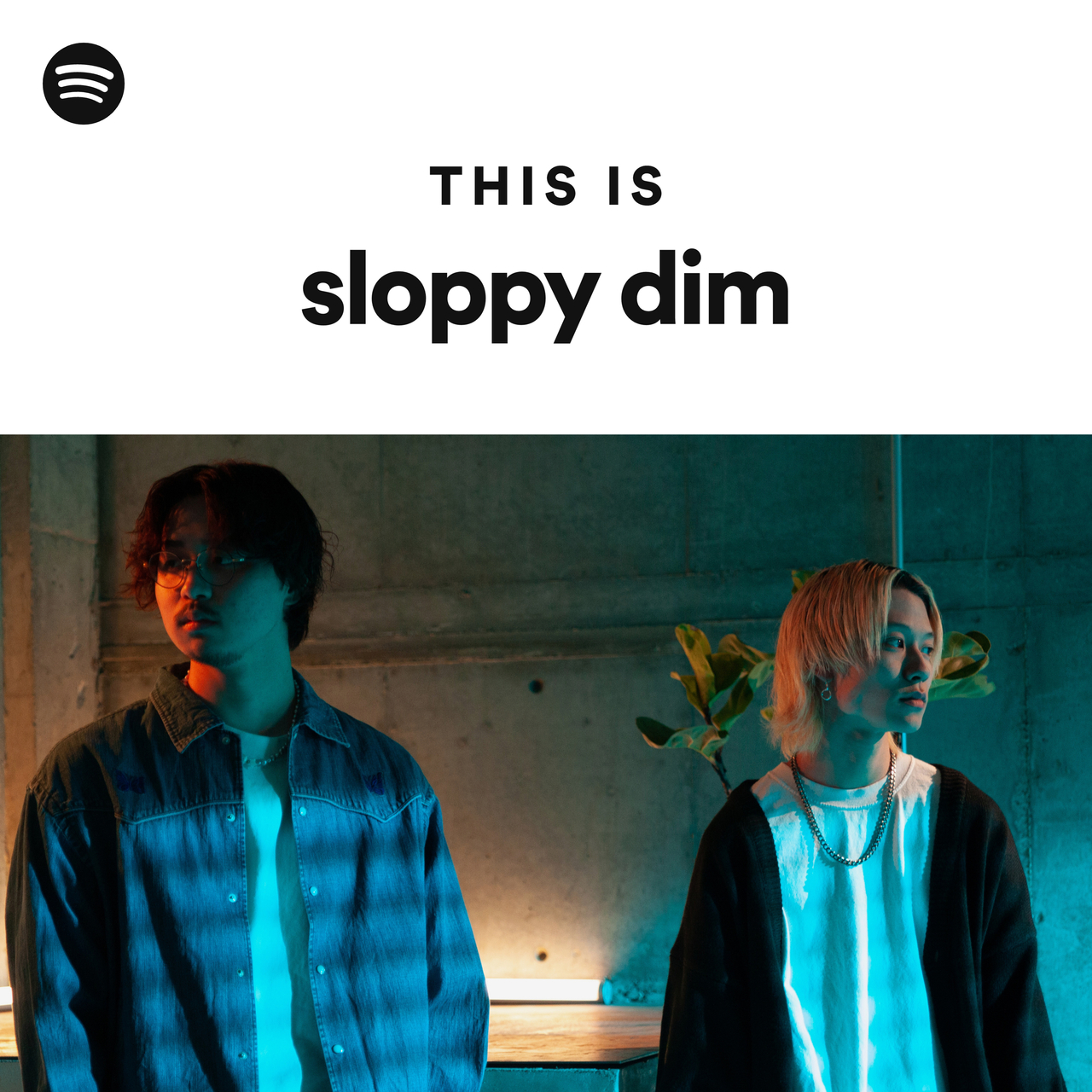 sloppy dim | Spotify