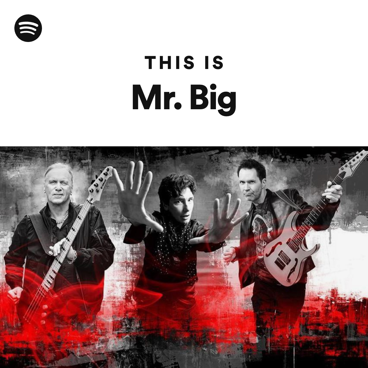 Mr. Big | Spotify