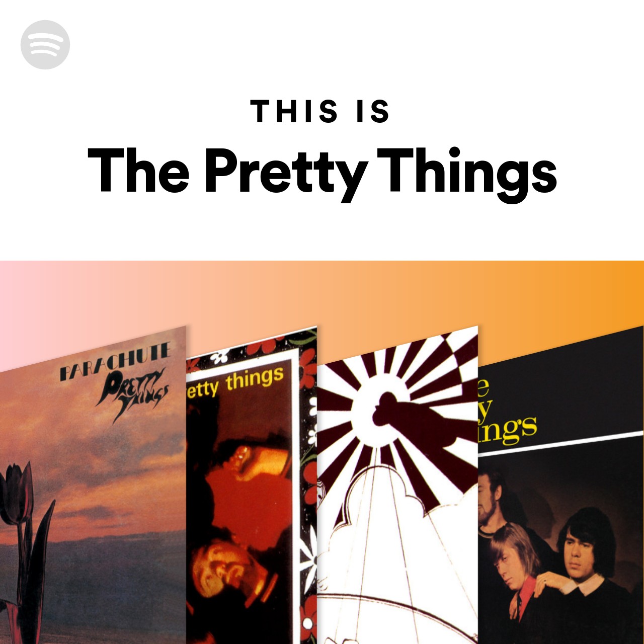This Is The Pretty Things