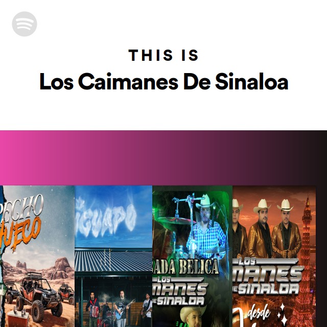 This Is Los Caimanes De Sinaloa - playlist by Spotify | Spotify