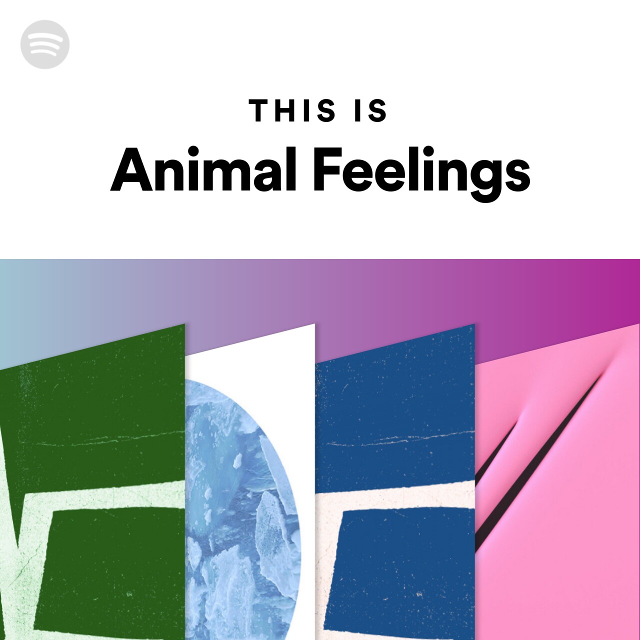 This Is Animal Feelings