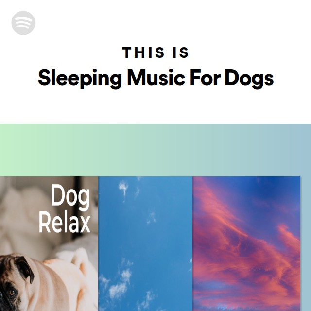 This Is Sleeping Music For Dogs - playlist by Spotify | Spotify