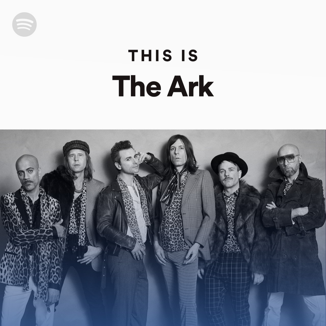 This Is The Ark