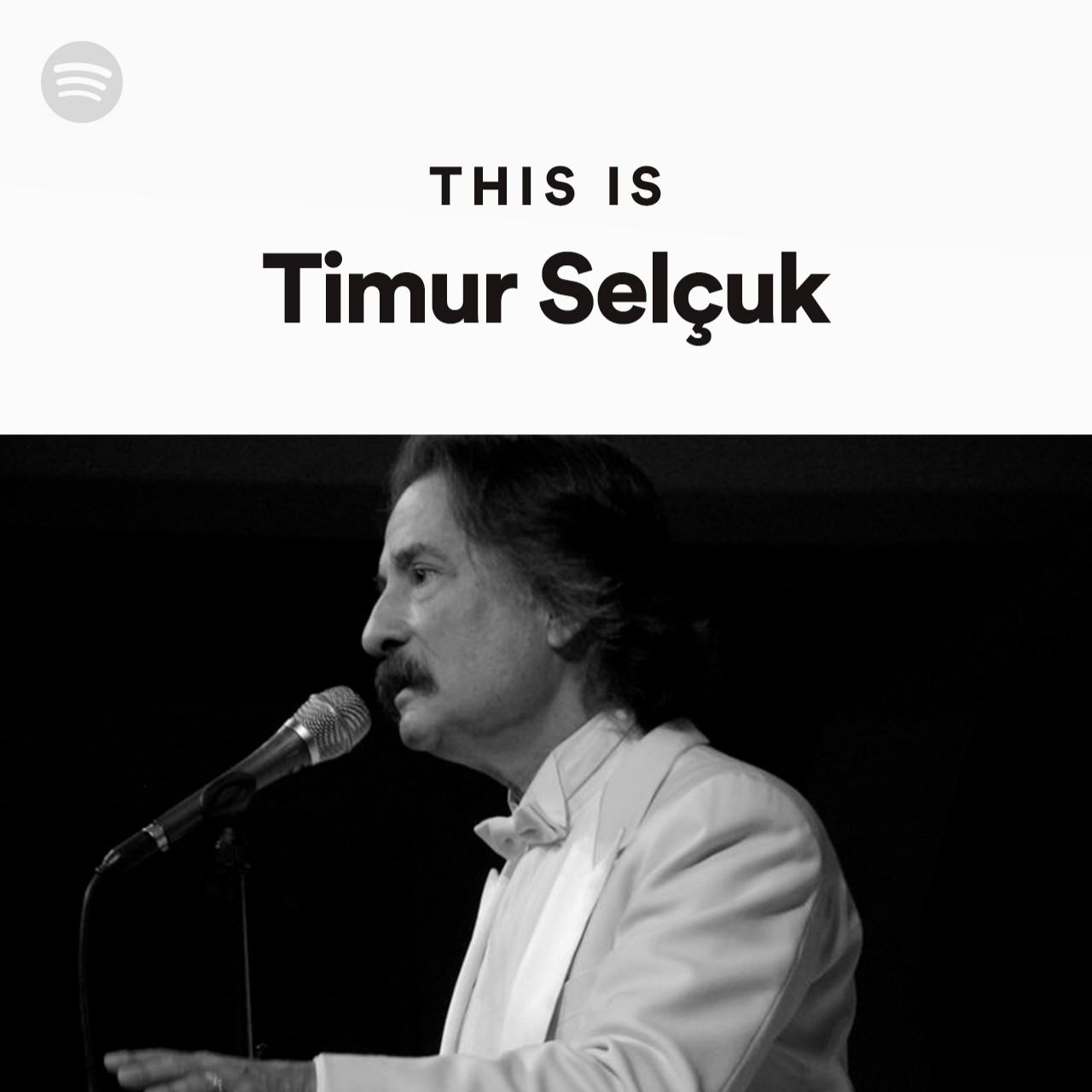 This Is Timur Selçuk