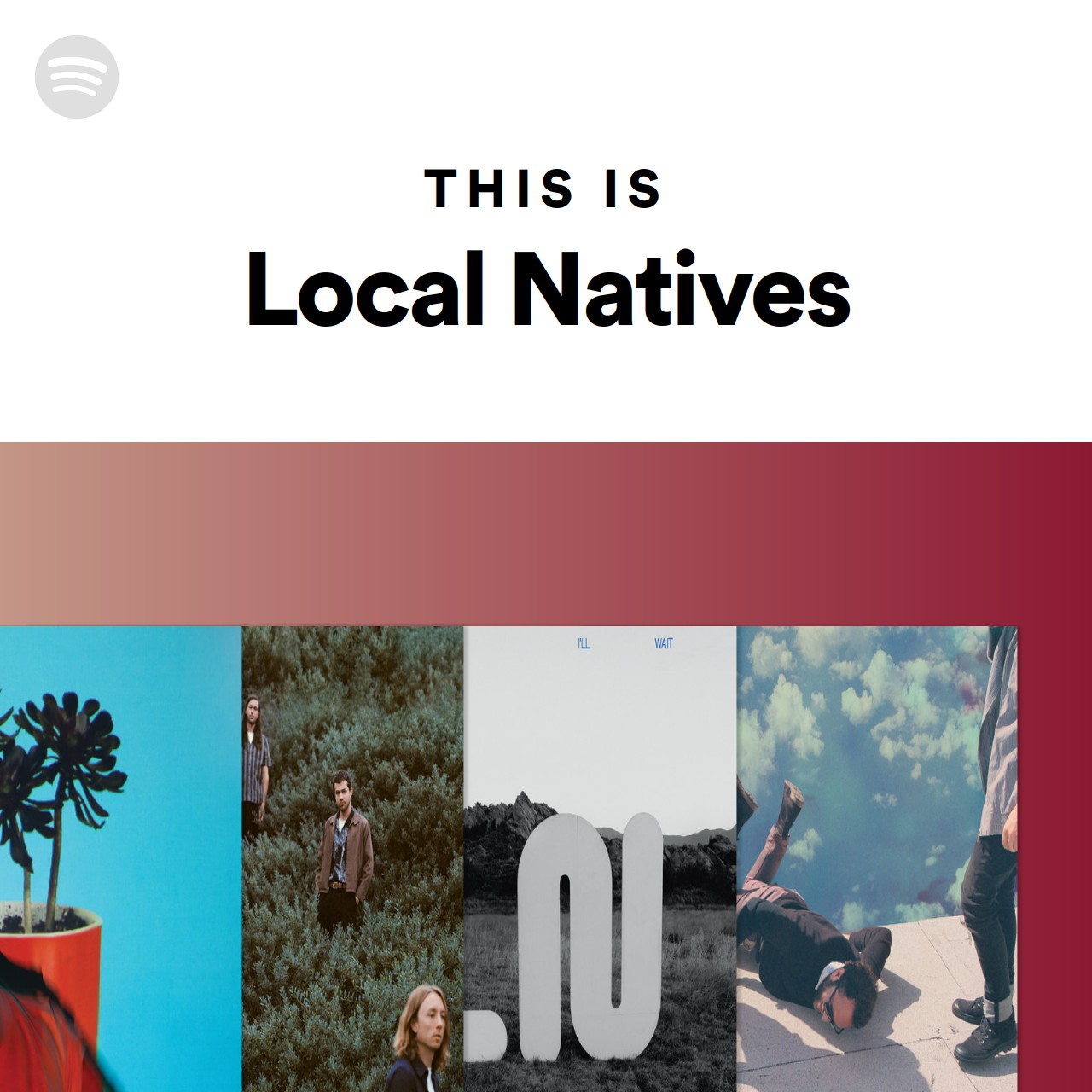 Imagem de Local Natives