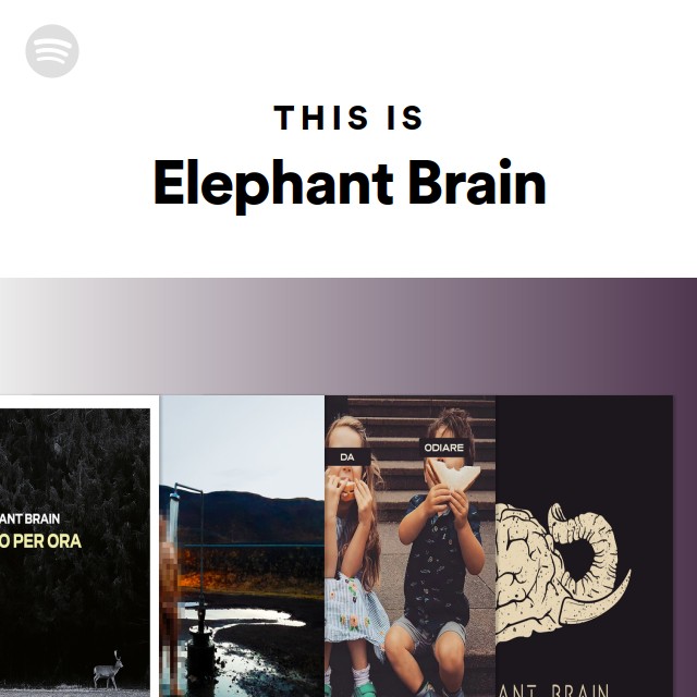 Imagem de ElephantClub