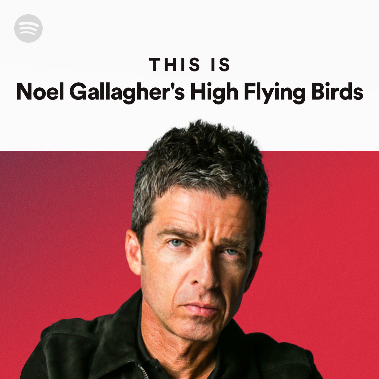 Imagem de Noel Gallagher’s High Flying Birds
