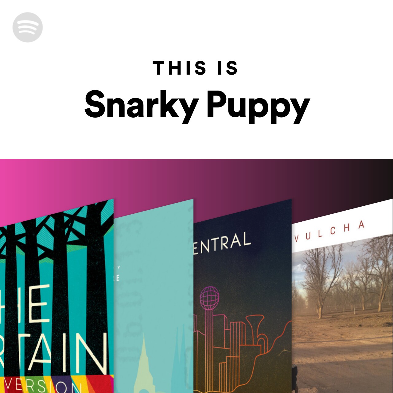 This Is Snarky Puppy