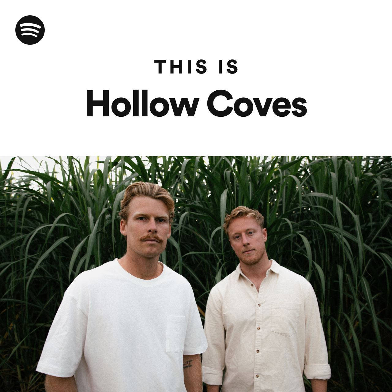 This Is Hollow Coves